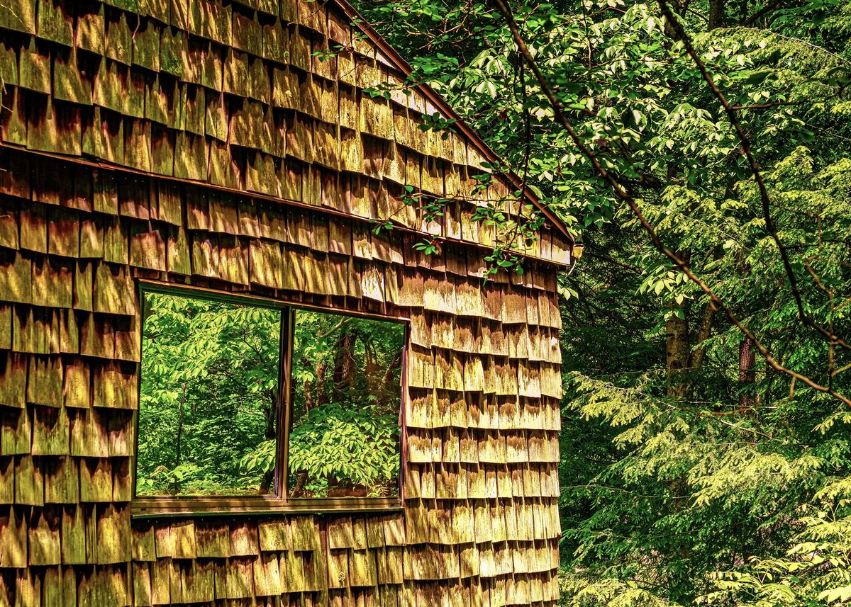 A cedar-shingled building at the edge of a forest. Its window reflects the leaves around it.